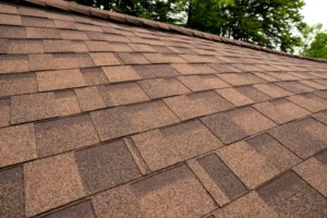 Guide to Navigating Roofing Materials and Making the Best Choice